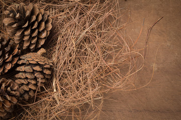 pine cones On the wooden floor. appreciated the interior.