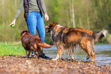 young woman with two dogs at the river