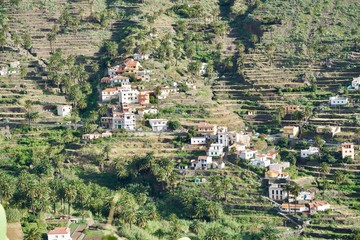 Fototapeta na wymiar terraces of Valle Gran Rey