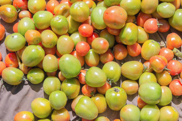 Tomato pile in the market