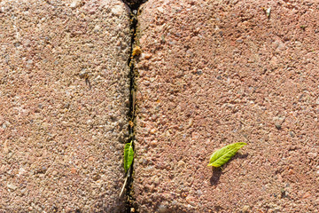 Close up of seam between pavers