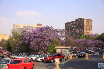 bibliothèque et université de Mexico