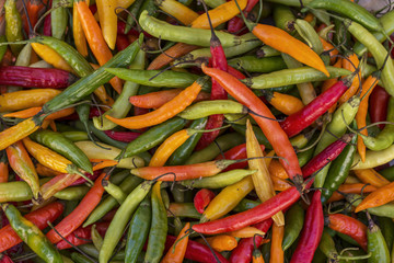 Spicy chillies of different colors