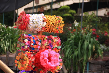fleurs à Xochimilco