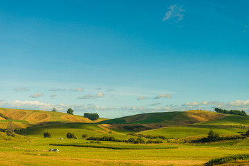Fototapeta na wymiar New Zealand Landscape Highway