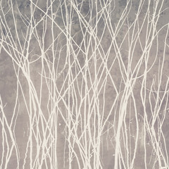 Fototapety  Abstrakcyjne suche drzewa