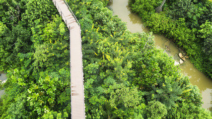Fototapeta premium Top view of wooden walkway in forest with trees and river.