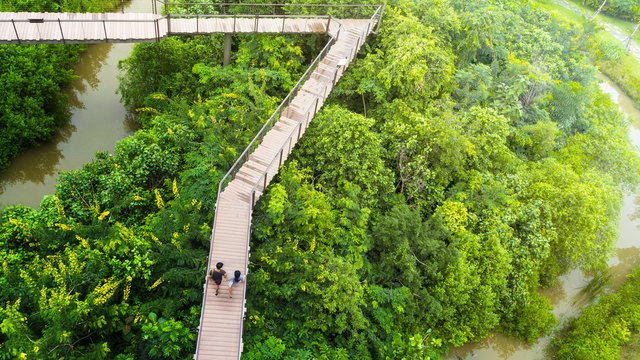 Fototapeta people of man and girl in top view walk at wooden sky walkway in forest with trees and river at the morning sunrise.(aerial forest view)