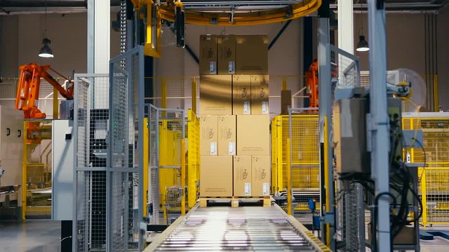 palletizing robot wraps stretch