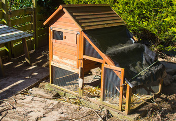 A typical backyard chicken coup in an enclosure in a back garden plot in Northern Ireland and used for egg production from free range chickens