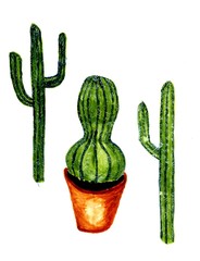 Green Cactus Art