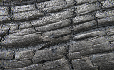 Surface of charred wood