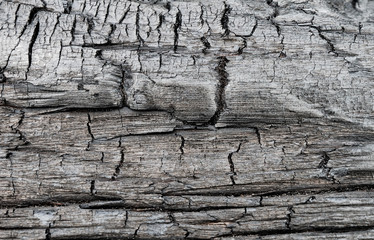 Surface of charred wood