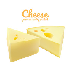 Cheeses isolated on white background. Cheese slice.