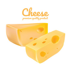 Cheeses isolated on white background. Cheese cafe.