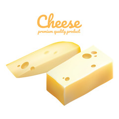 Cheese isolated vector illustration. Realistic cheese types. Cheese on white background.