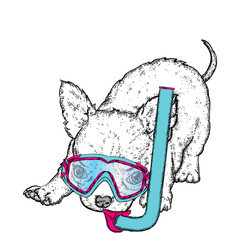 Funny Chihuahua in a mask for diving. Vector illustration for a postcard or a poster. Pedigree dog. Cute puppy.