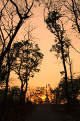 Amazing view of buddhist pagoda silhouette at sunset with giant trees and beautiful orange sky background, peaceful and romantic atmosphere, thailand