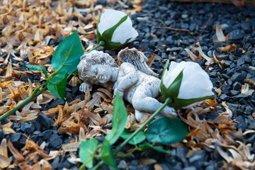  little angel  between two white roses on grave