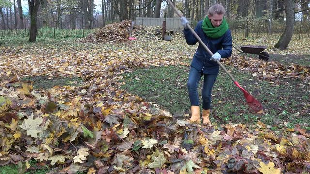 woman rake autumnal leaves with big red rake in backyard. 4K