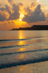 Fototapeta premium Palm Beach Ocean