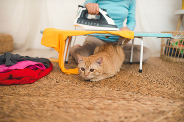 Happy young asian woman ironing clothes sitting on floor at home.