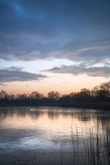 Stunning colorful Winter sunrise over reeds on lake in Cotswolds in England