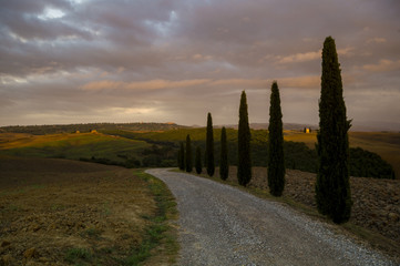 Fototapeta premium Jesienny krajobraz najbardziej malowniczej części Toskanii, doliny Val d'Orcia