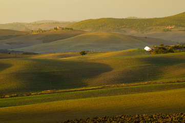 Fototapeta na wymiar Autumn landscape of the most picturesque part of Tuscany, val d'orcia valley