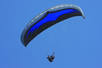 Paraglider