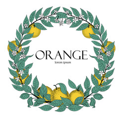 Round wreath of leaves and orange fruit. Vector hand drawn frame sketch style. Vintage illustration. Logo template