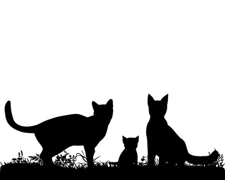 Illustration, vector, silhouette of cats in nature