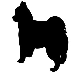 vector, silhouette dog standing