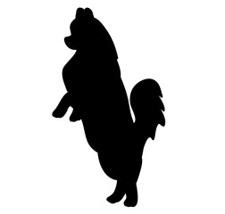silhouette dog standing