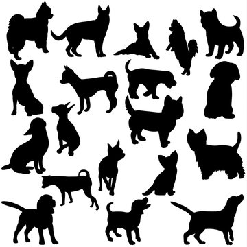 Illustration, vector, silhouette dog collection