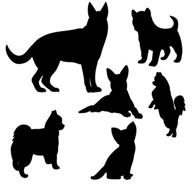 Illustration, vector, silhouette dog set