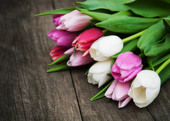 Spring tulip flowers