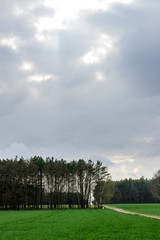 Fototapeta premium Rural landscape, meadow, forest and cloudy sky