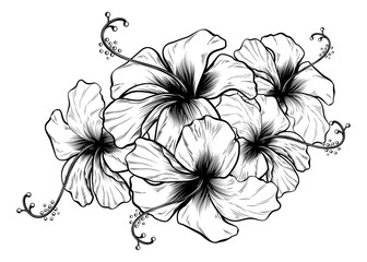 Hibiscus Flowers Vintage Retro Style Woodcut Engraved Etching