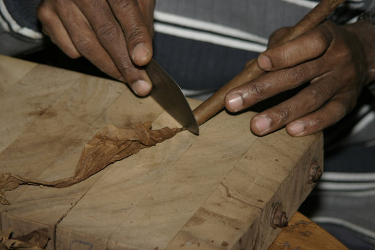 Cuban makes cigars by hand