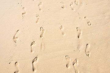 Fototapeta na wymiar Footprints in sand.