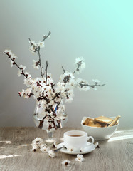 Tea and apricot flowers