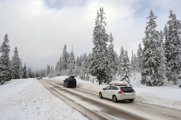 Road with two cars through a Winter Wonderland.