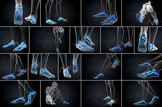 3d rendering medical illustration of the foot bone