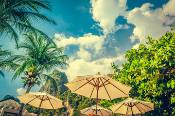 Naklejka na ściany i meble Coconut palm trees and limestone rocks at sunny day at blue sky with clouds. Beautifull sea sunset nature background. Travel concept. Photo from Railay Beach, Krabi, Thailand. Vintage filter.