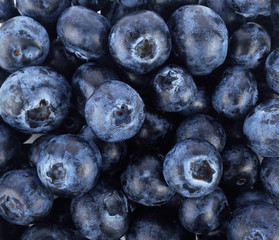 Blueberry close up and blueberry background