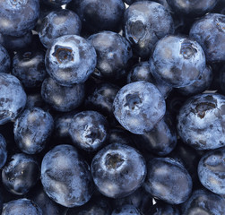 Blueberry close up and blueberry background