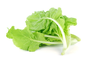lettuce leaves isolated on white background