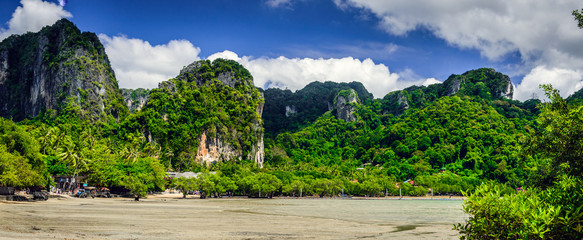 Limestone rocks, palm trees and mangrove trees. Typical thai landscape from East Railay Beach, Krabi, Thailand.