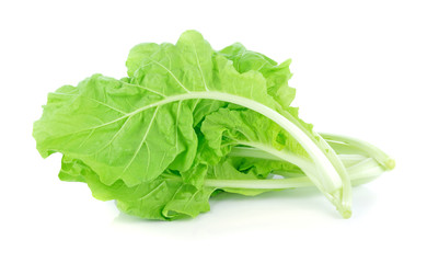 lettuce leaves isolated on white background